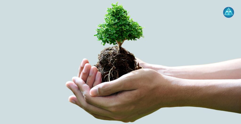 Zwei geöffnete Hände halten einen kleinen grünen Baum mit sichtbarem Wurzelballen aus dunkler Erde vor einem hellblauen Hintergrund, während oben rechts das runde blaue Logo von Dein Gesundheitsbusiness zu sehen ist.